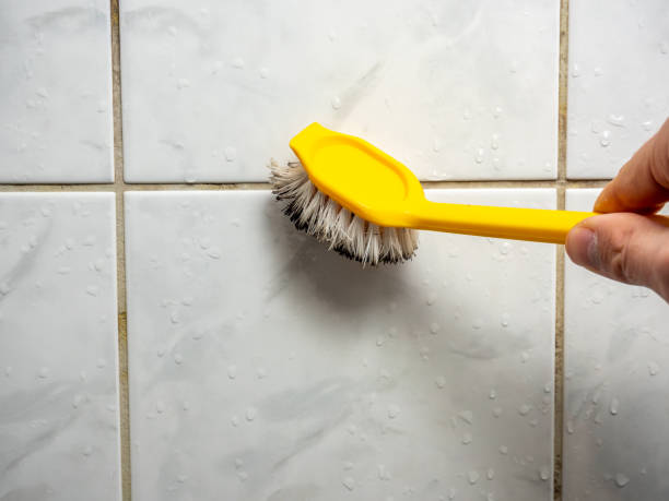 Best Mold Testing and Inspection Services in Llender, CA
