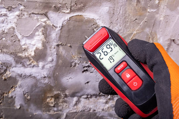 Best Emergency Mold Remediation in Llender, CA
